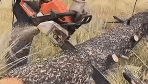 Legendary Hustlers Animation